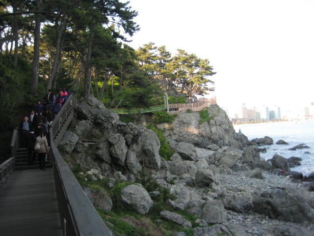 the path along the coast at Dongbaek Park