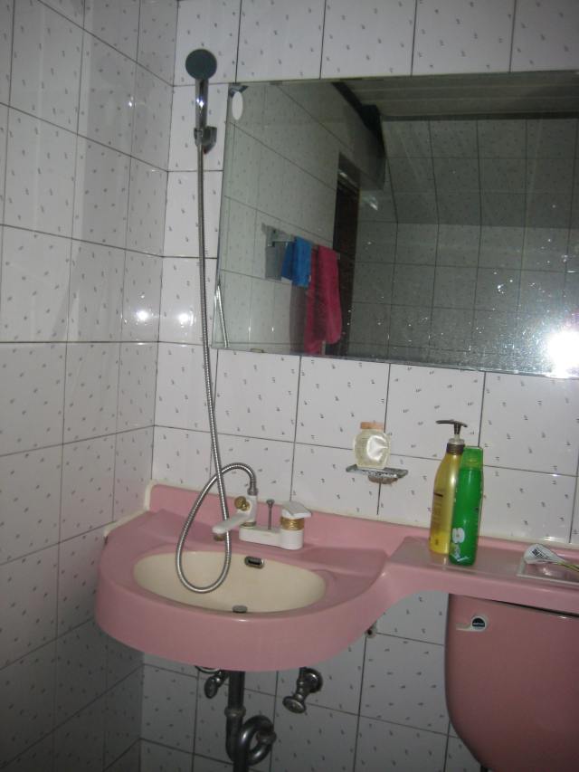 the Korean style sink-shower in my bathroom